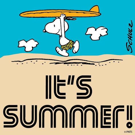 It's summer! Snoopy Summer, Happy Summer Quotes, Peanut Gang, Snoopy Images, Snoopy Quotes, Snoopy Pictures, Snoop Dog, 10% Happier, Welcome Summer