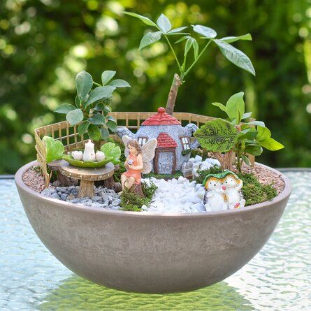 Pink Kitchen Designs, Miniature Garden Design, Fairy Garden Plants, Fairy Garden Kit, Solar Flower, Fairy Garden Designs, Garden Kit, Fairy Garden Houses, World Of Fantasy