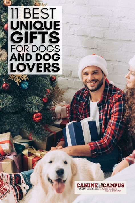 Looking for the paw-fect gift? 🎁🐾 Check out our blog for the 11 Best Unique Gifts for Dogs and Dog Lovers! From treats to toys, we've got ideas for every dog parent. https://www.caninecampus.us/11-best-unique-gifts-for-dogs-and-dog-lovers 🐕❤️ #DogGifts #PetLovers #UniqueGifts #DogParents #GiftIdeas #DogsOfInstagram #DogLife #FurryFriends #DogLovers #GiftGuide Lymphoma In Dogs, Personalized Dog Beds, Dog Dna Test, Gifts For Dogs, Personalized Dog Collars, Interactive Dog Toys, Gifts For Dog Lovers, Custom Dog Portraits, Dog Daycare