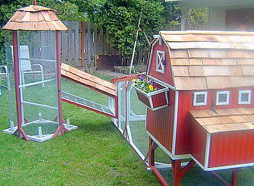 Fancy Chicken Coop, City Chicken, Amazing Backyard, Chicken Tractors, Fancy Chickens, Chicken Coop Run, Chicken Tractor, House Tree, Chicken Coop Designs