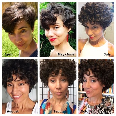 Grow Curly Hair, Growing Out A Pixie, Growing Out Pixie Cut, Pixie Cut Curly Hair, Curly Hair Growth, Grown Out Pixie, Curly Pixie Hairstyles, Professional Haircut, Curly Pixie Haircuts