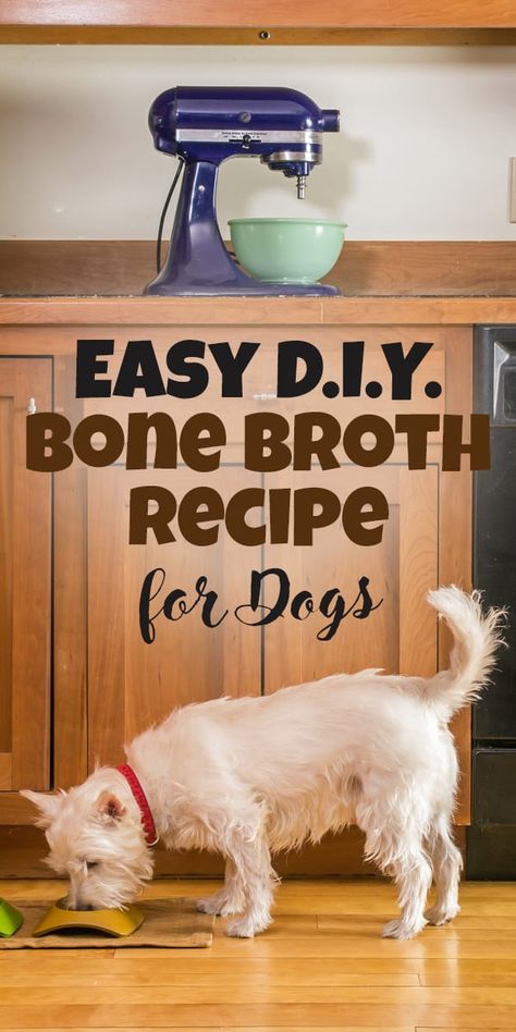 Diy Bone Broth, Bone Broth Dogs, Dog Meds, Bone Broth For Dogs, Broth For Dogs, Chicken Bone Broth Recipe, Bladder Stones, Making Bone Broth, Cats Food