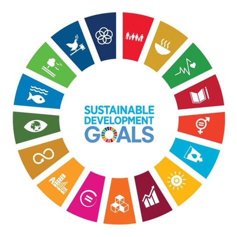 Tomorrow, I’ll be attending a masterclass on the Sustainable Development Goals (SDGs) 🌍. For us, sustainability isn’t just a choice—it’s at the heart of everything we do. We want to leave the world a little better for our children. At Lojan, we’re already mindful of our impact, but I’m excited to learn more and discover practical tips. 💡 Looking forward to seeing what we can improve! Morgen volg ik een masterclass over de Sustainable Development Goals (SDG’s) 🌍. Voor ons is duurzaamheid niet... Carbon Cycle, Un Sustainable Development Goals, Climate Justice, University Of Manchester, Sustainable Development Goals, Climate Action, Change Maker, Digital Tools, Social Impact