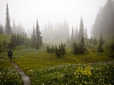 Foggy Hills, Mountain Vibes, Foggy Weather, Foggy Mountains, Mystical Forest, Forest Hills, Stunning Photography, Treasure Box, Pretty Photos