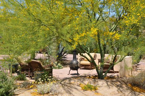 Sw Courtyard, Xeriscape Backyard, Southwest Landscaping, Southwest Garden, Desert Scape, Serene Backyard, Desert Backyard, Low Water Landscaping, Desert Gardening