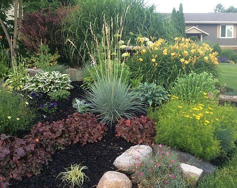 Highlights from an Ontario Garden | Fine Gardening Canadian Garden Ideas, Native Ontario Garden, Small Garden Oasis, Ontario Perennial Garden, Ontario Wildflowers, Landscaping Around Patio, Ontario Wildflowers Native Plants, Lake Ontario Dahlia, Plants Under Trees