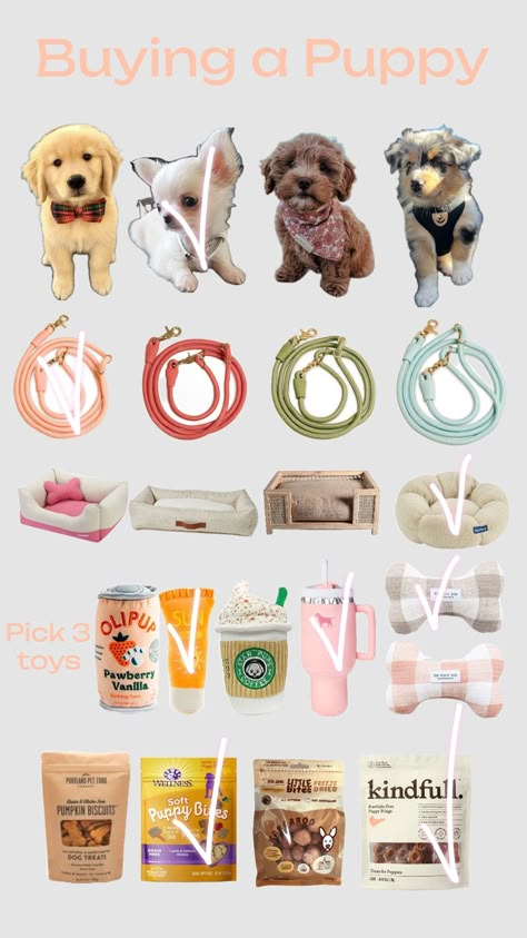 Pick One From Each Row, Basket Ideas For Best Friend, Boo Basket Ideas For Best Friend, Outfits Quiz, Puppy Space, Dog Supplies List, Puppy Items, Making A Gift Basket, Girly Christmas Gifts