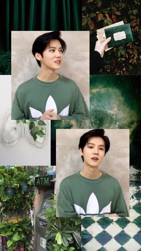 Green Nature Aesthetic Wallpaper, Luhan Wallpaper, Green Nature Aesthetic, Nature Aesthetic Wallpaper, Luhan Exo, Exo 12, Exo Album, Exo Luhan, Exo Lockscreen