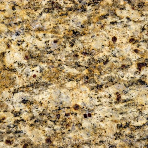 Giallo Santa Cecilia Granite Santa Cecilia Granite, B2b Website, Texas Kitchen, Kitchen Improvements, Santa Cecilia, Kitchen Countertop Materials, New Countertops, Granite Colors, Granite Countertop