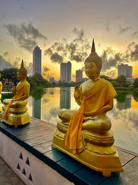 #sunset #sunsetphotography #sunsetbeach #sunsetlover #colombo #srilanka #srilankatravel #buddha #buddhism #travel #meditation Srilanka Aesthetic, Srilanka Tourism, Buddha Aesthetic, Colombo Sri Lanka, Sri Lanka Travel, Buddha Quotes, Dream Board, Celebrity Outfits, Travel Aesthetic