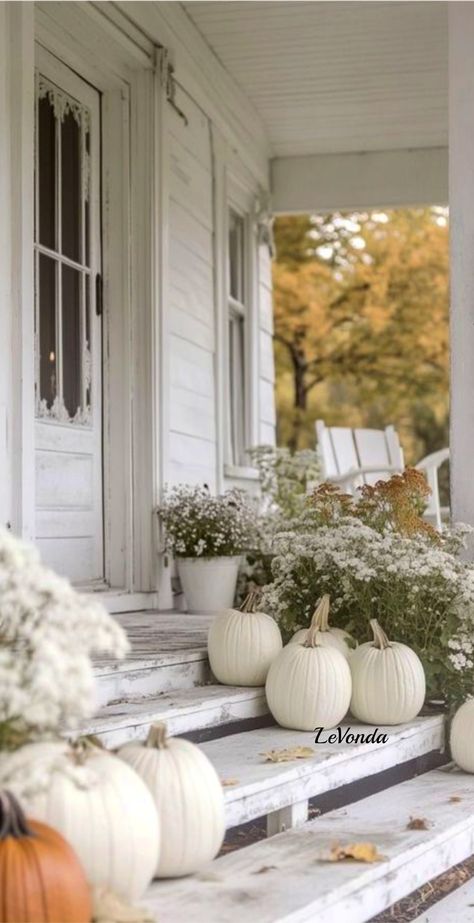 Shabby Chic Fall Decor, Small Porch Decorating, Shabby Chic Fall, Fall Front Porch Decor Ideas, Front Porch Decor Ideas, White Mums, Porch Pumpkins, White Chrysanthemum, Pumpkin House