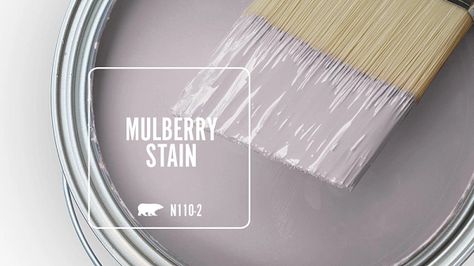 N110-2 MULBERRY STAIN | Behr Paint Colors Purple Behr Paint Colors, Behr Jewel Tone Paint Colors, Mulberry Paint Color, Behr Living Room Paint, Behr Mauve Paint Colors, Behr Purple Paint Colors, Purple Grey Paint Color, Grey Purple Paint, Hastings House