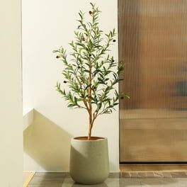 Walmart | Save Money. Live better. Olive Tree Indoor, Fake Indoor Trees, Artificial Olive Tree, Olive Plant, Tree Indoor, Artificial Plants Indoor, Faux Olive Tree, Fake Plants Decor, Wood Trunk