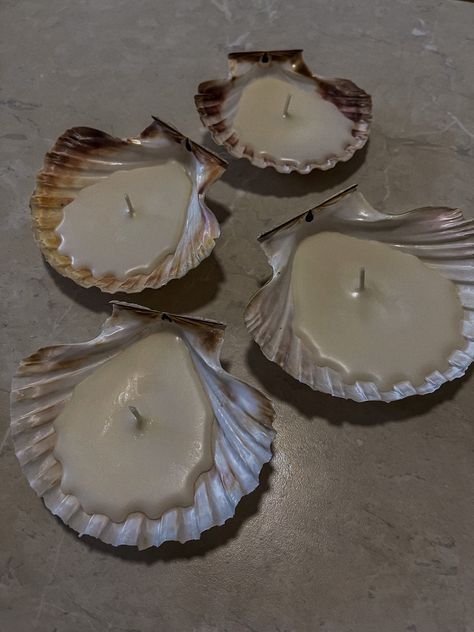 Candles in a shell, soy candles Candle In Shell, Shell Spell, Sea Siren, Shell Candles, Candle Aesthetic, Sea Witch, Stories Ideas, 12 Zodiac Signs, Diy Crochet Projects