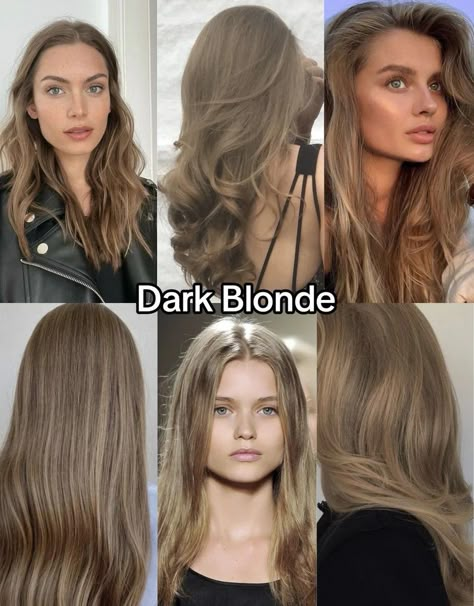 Cool Toned Blonde Hair, Natural Dark Blonde Hair, Summer Color Season, Healthy Blonde Hair, Soft Blonde Hair, Best Blonde Hair, The Perfect Blonde, Wedding Hair Colors, Dark Blonde Hair Color