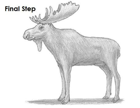 Moose Drawing Last Moose Drawing, Animal Tutorial, Drawing Instructions, Popular Cartoons, Learn How To Draw, Step By Step Drawing, Learn To Draw, Beck, Animal Drawings