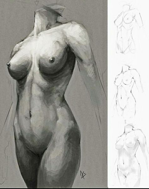 Torso Study, Body Image Art, Human Body Drawing, Drawing Female Body, Female Torso, Female Drawing, Human Anatomy Drawing, Human Figure Drawing, Human Anatomy Art