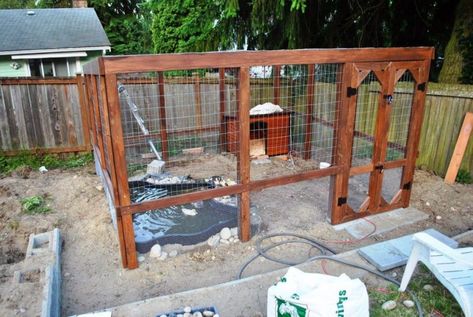 Ever Thought of A Pond On Duck Coop? Backyard Duck Pond, Duck Enclosure Ideas, Duck Pond Ideas, Duck House Diy, Duck Enclosure, Duck Pens, Container Pond, Backyard Ducks, Duck Coop