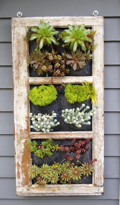 Vertical gardens are always dressed to impress — this one makes use of easy-hang pockets to anchor the plants. See more at Restored Style »  - GoodHousekeeping.com Outdoor Window Decor, Shutters Repurposed Decor, Growing Cabbage, Old Window Projects, Old Window Frames, Window Projects, Vertical Gardens, Old Windows, Companion Planting