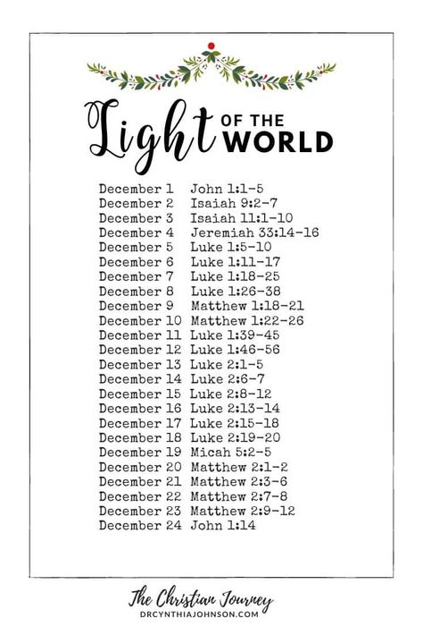 Christmas Story Reading Plan, The Christmas Story Bible, Christmas Bible Reading Plan, Christmas Story Bible, Life Bible Verses, Christmas Bible Study, Advent Readings, Story Bible, Youth Lessons