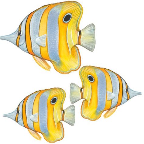 ideas for tropical fish/coloring Watercolor Fish, Ocean Scenes, Angel Fish, Sea Art, Colorful Fish, Ocean Creatures, Sea And Ocean, Fish Art, Tropical Fish