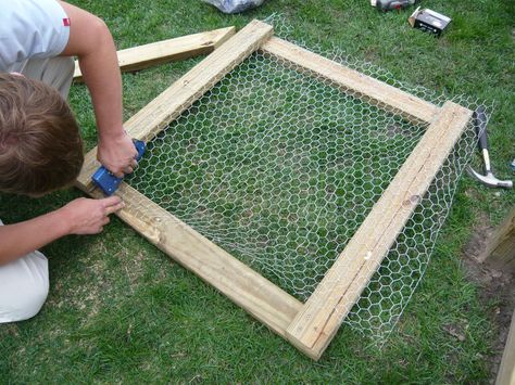 nice looking chcken wire fence | Designing Domesticity: Keepin' the Critters Out Chicken Wire Fence, Fenced Vegetable Garden, Diy Garden Fence, Chicken Garden, Backyard Vegetable Gardens, Diy Fence, Veg Garden, Wire Fence, Chicken Diy