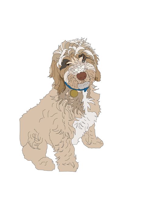 coloured sketch of a Cockapoo Cockapoo Drawing, Cockapoo Tattoo, Cockapoo Drawing Simple, Cockapoo Outline, Cockapoo Cartoon Drawing, Cockapoo Art, Cockerpoo Full Grown, Cockapoo Painting Acrylic, Spanish Water Dog