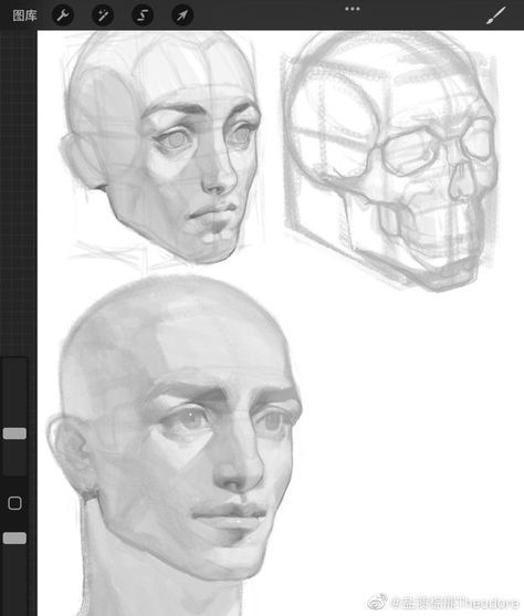 Facial Anatomy Reference, Facial Planes Study, Face Structure Study, Sculpture Drawing Reference, Head Structure Reference, Realism Sketch Tutorial, Facial Structure Reference, Different Body Types Reference, Facial Structure Drawing