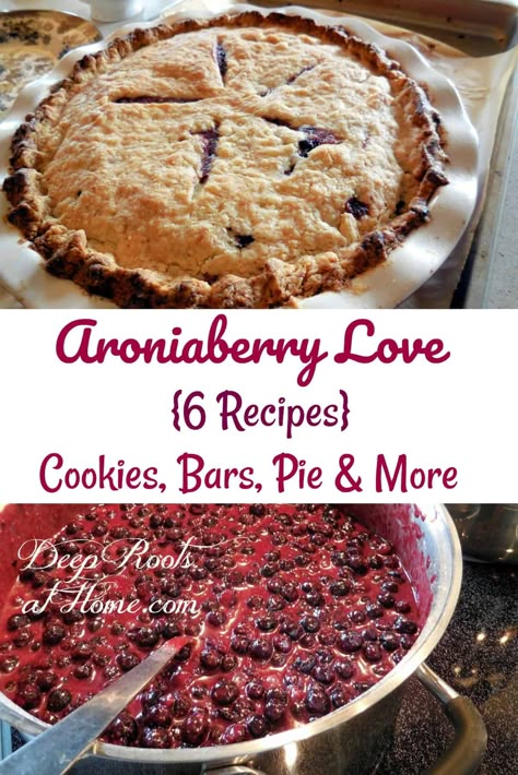 Aronia Berry Recipes, Health Cookies, Plants Backyard, Baking Pies, Aronia Berries, Kitchen Gardening, Sweet Kitchen, Low Carb Cake, Cookies Bars