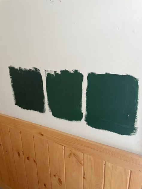 Sherwin Williams Evergreens Paint, Benjamin Moore Rainforest Foliage, Benjamin Moore Brazilian Rainforest, Sw Evergreens Paint, Evergreens Sherwin Williams, Yukon Green Benjamin Moore, Cabin Green Interior, Behr Dark Everglade Bedroom, Dark Green Bathroom Sherwin Williams