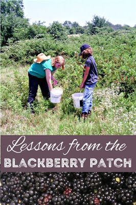 You're not just picking berries, you're teaching valuable lessons and skills. Lessons from the blackberry patch. Blackberry Patch, Picking Berries, Homestead Lifestyle, Homesteading Life, Rules For Living, Rules For Life, Berry Patch, Homestead Life, Patch Ideas