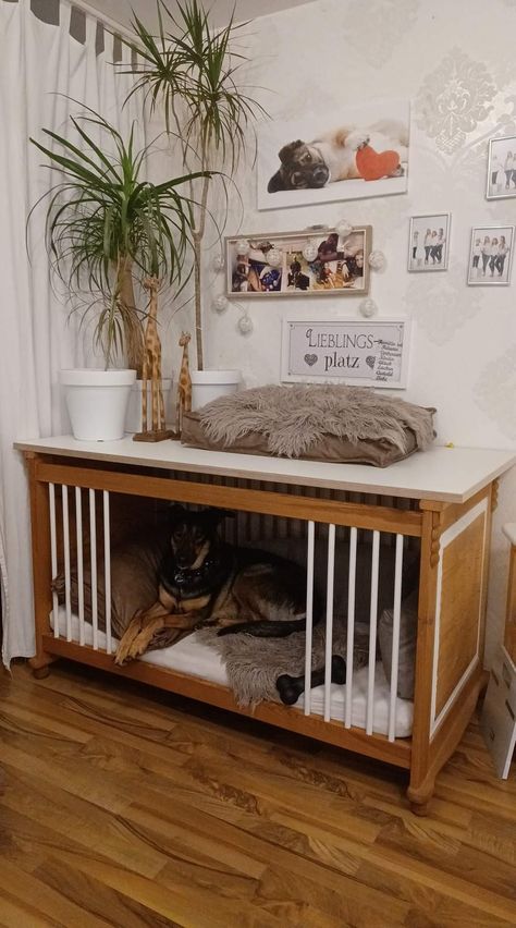 Pet Corner Ideas Dogs, Dog Crate Hack, Dog Room Ideas Bedrooms, Diy Dog Cage, Indoor Dog House Diy, Dog Nook, Indoor Dog House, Diy Dog Crate, Dog Corner