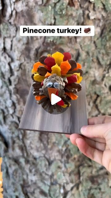 Emily Seilhamer on Instagram: "Pinecone Turkey! 🎨🦃 #crafting #diyideas #fallcrafts #easycrafts #tutorials" Turkey Diy Crafts, Holiday Woodworking Projects, Pinecone Turkey, Thanksgiving Food Crafts, Preschool Craft Activities, Pinecone Crafts Kids, Turkey Painting, Diy Turkey, Babysitting Crafts