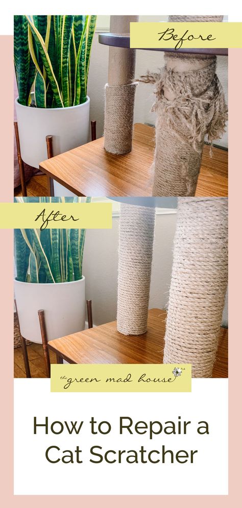 Benny And Joon, Diy Cat Scratching Post, Diy Cat Scratcher, Cat Tree Plans, Cat Scratcher Post, Katt Grejer, Cat Patio, Diy Cat Tree, Cat Proofing