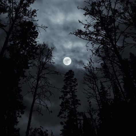 Dark Witchcore, Dark Forest Aesthetic, Dark Castle, Dark Landscape, The Moon Is Beautiful, Night Forest, Dark Paradise, Magic Aesthetic, Gothic Aesthetic