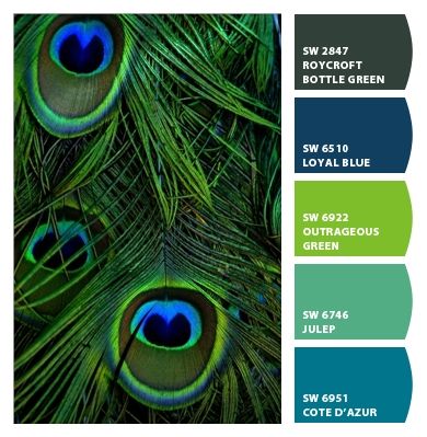 Paint colors from Chip It! by Sherwin-Williams Peacock Colors, Peacock Art, Bohemian Aesthetic, Foto Art, Peacock Feathers, Peacock Feather, Green Aesthetic, Blue And Green, The Words