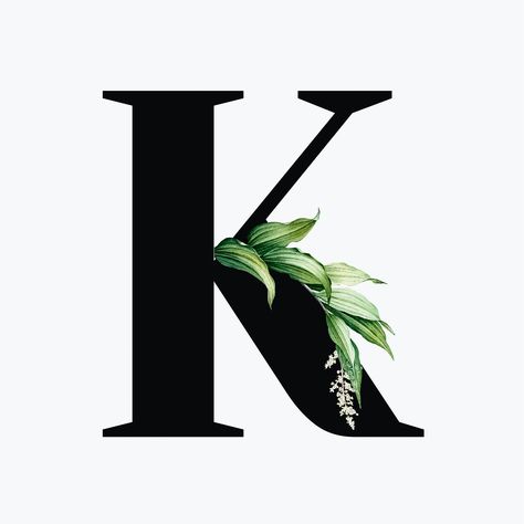 Botanical capital letter K font design | free image by rawpixel.com / Aum K Font, Letter K Font, Botanical Letters, Botanical Capital Letter, Letter K, Font Free, Font Design, Free Photo, Premium Vector