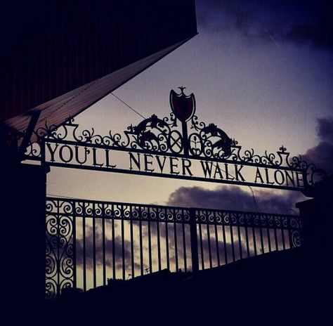 Walk Alone, You'll Never Walk Alone, Liverpool Football Club, Liverpool Football, Walking Alone, Liverpool Fc, Football Club, Liverpool, Football