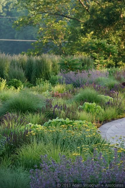 Vinyl Fence Landscaping, Adam Woodruff, Bottle Wind Chimes, Contemporary Gardens, Planting Combinations, Jones Road, Naturalistic Garden, Beautiful Borders, Garden Patio Decor