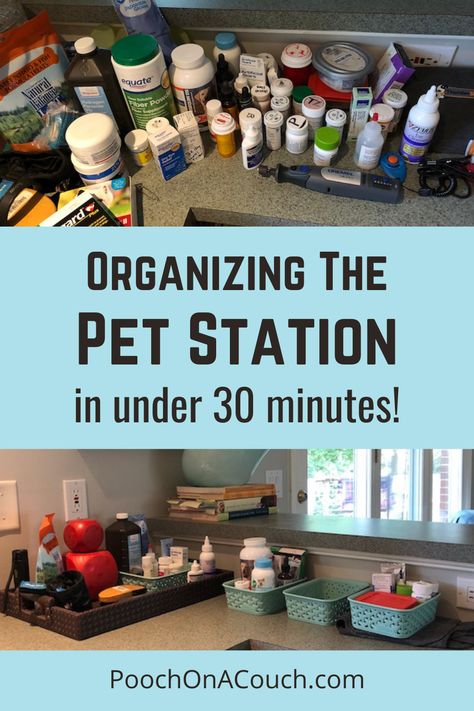 Storage For Pet Supplies, Pet Food Station In Kitchen, Dog Collar Charging Station, Dog Supplies Organization, Pet Food Station, Dog Station, Pet Supplies Organization, Pet Station, Dog Organization