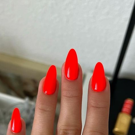 DND Gel on Instagram: "🧨🍊 Are you team neon or team classic crème? NEW DIVA First Class Collection has the juiciest orange shades ✈️🍊☁️💦

Prettiest swatches on @nailsbysmf wearing:
DV 218 Astral Spark 
DV 208 Perfect Orange 

Available in Gel Polish and Lacquer - Which shade is your favorite? 

#summernails #orangenails #neonnails #dndfirstclasscollection #gelnails #gelpolish #trednynails #prettynails #nailswatch #nailstyle #popularnails #coolnails #nailsofinstagram #nailsoftheday #nailsnailsnails #naturalnails #dndgel #dndgelpolish #dndastralspark #dndperfectorange #dndnails" Dnd Shocking Orange, Sparkly Orange Nails, Red Orange Nails, Acrylic Nails Yellow, Nail Laquer, Cornrows Braids For Black Women, Dnd Gel Polish, Braids For Black Women, Popular Nails