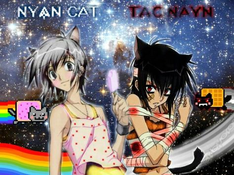 Human version of Nyan Cat & Tac Nayn  .This was made by me. Tac Nayn, Human Version, 2010s Nostalgia, 2000s Art, Scene Core, Moe Anime, Emo Art, Nyan Cat, Rawr Xd