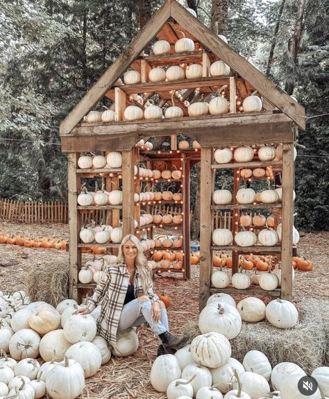 Pumpkin patch. Pumpkin inspo. Pumpkin patch aesthetic. Pumpkin patch photo ideas. Pumpkins. Cute photos. Farm. Pumpkin aesthetic. Aesthetic outfits. fall. autumn. Autumn vibes. fall vibes. Fall outfits. Style. Outfit inspiration. Pumpkin Patch Business Ideas, Pumpkin Patch Ideas Diy, Patch Ideas Diy, Pumpkin Patch Ideas, Pumpkin Patch Photo Ideas, Pumpkin Patch Business, Aesthetic Pumpkin Patch, Pumpkin Patch Design, Pumpkin Patch Aesthetic