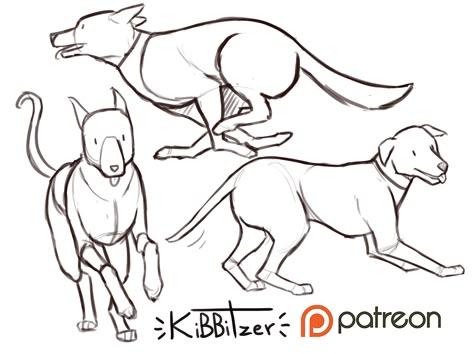 Dogs reference sheet -PREVIEW- | kibbitzer on Patreon Dogs Reference, Dog Anatomy, Dog Poses, 강아지 그림, Reference Sheet, 캐릭터 드로잉, Anatomy Drawing, Poses References, Animal Sketches