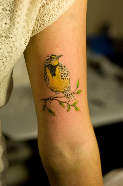 Meadowlark Meadow Lark Tattoo, Western Meadowlark Tattoo, Meadowlark Tattoo, Meadowlark Bird, Shark Tattoo Meaning, Lark Tattoo, Traditional Shark Tattoo, Grandpa Tattoo, Larkspur Tattoo