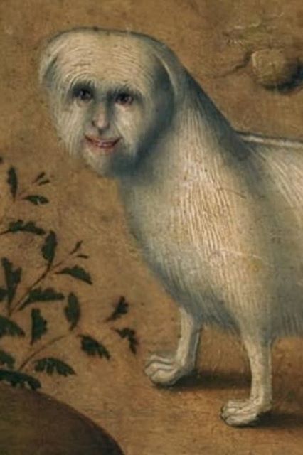 Who's dog is it or who is it anyway? Dog With Human Face, Cat With Human Face, Human Face Drawing, Funny Medieval, Ugly Animals, Medieval Drawings, Evil Cat, Ugly Cat, Medieval Paintings