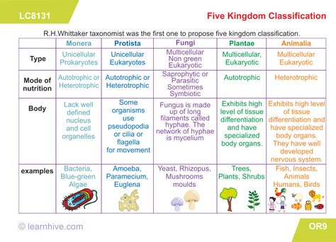 5 Kingdom Classification, Five Kingdom Classification, Grade 9 Science, Taxonomy Biology, Kingdom Classification, Five Kingdoms, Science Knowledge, High School Reading, School Biology