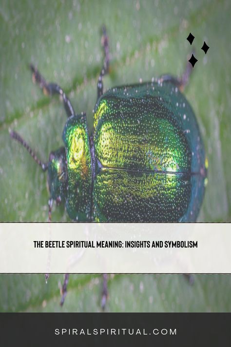 Discover the spiritual meaning of beetles. They symbolize transformation, protection, and resilience in various cultures and belief systems. Beetle Spiritual Meaning, Black Beetle, Red Beetle, Recurring Dreams, Color Symbolism, Post Animal, The Beetle, Animal Symbolism, Blue Beetle