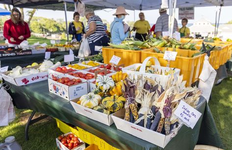 People shopping at a farmers market. Southwest Michigan, Local Honey, Farm Market, Local Farmers Market, Seasonal Decorations, Farmers Markets, People Shopping, Fresh Eggs, Fruits Vegetables