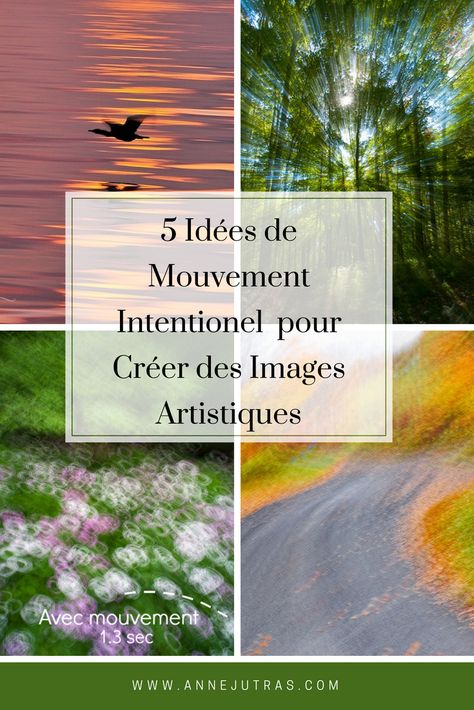 Mouvement intentionnel | 5 idées pour créer des images artistiques | mouvement intentionnel de la caméra | ICM ou Mouvement intentionnel de la caméra | astuces photo | conseils photo | photographie, par Anne Jutras, artiste photographe Album Photo, Blog Photo, Picture Video, Photo Album, Photo Art, Photoshop, Photo And Video, Iphone, Photography